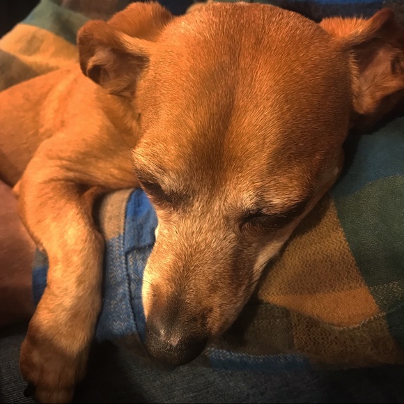 Assistant Posher, Novella - Picture 1 of 6